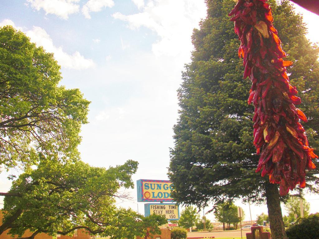 Sun God Lodge เทาส์ ภายนอก รูปภาพ